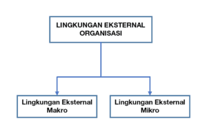 Lingkungan eksternal Organisasi