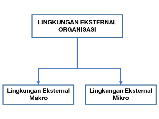 Lingkungan eksternal Organisasi