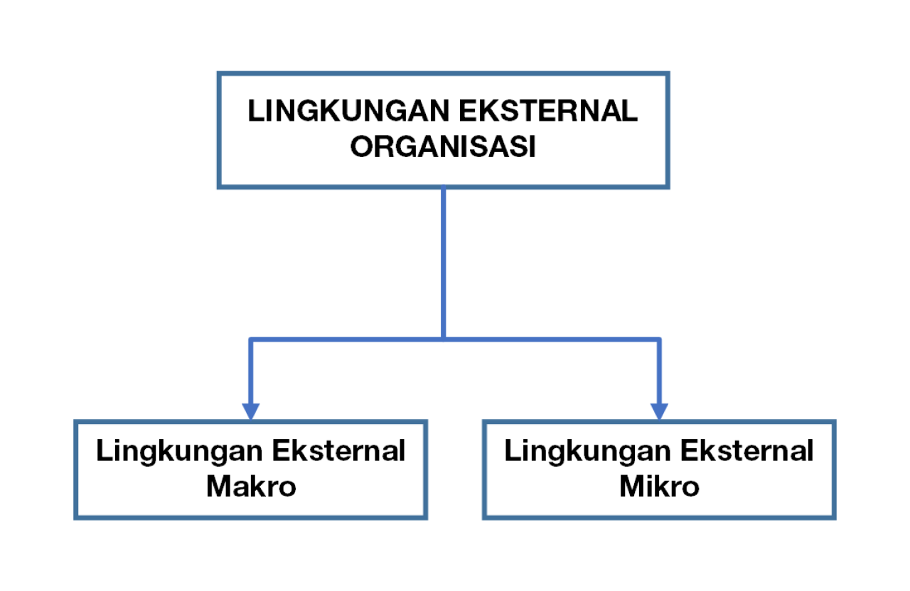 Lingkungan eksternal Organisasi