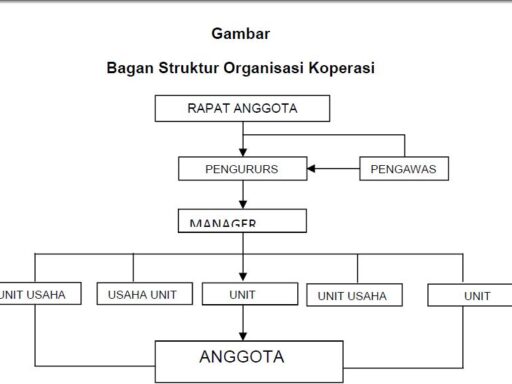 Struktur Organisasi Koperasi adalah