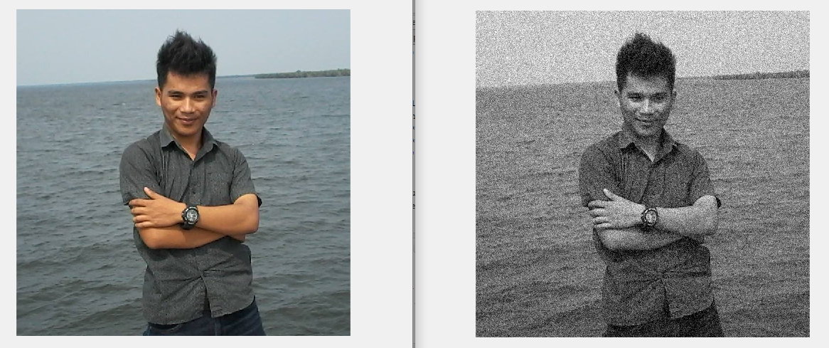 Pengertian Noise Pada Citra Digital