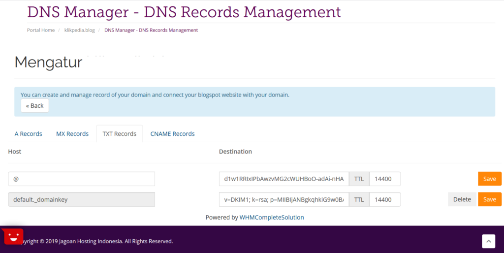 Pengaturan DNS Domain