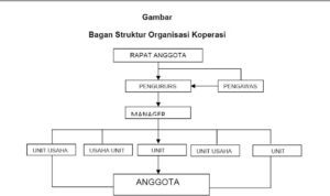 Organisasi Koperasi adalah: Pengertian Struktur dan Ciri-Ciri Organisasi Koperasi