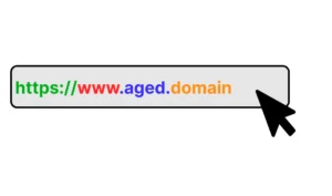 Pengertian Aged Domain: Apakah Bisa Mendongkrak SEO