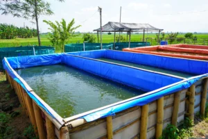 Pembuatan Kolam Terpal untuk Budidaya Ikan Lele